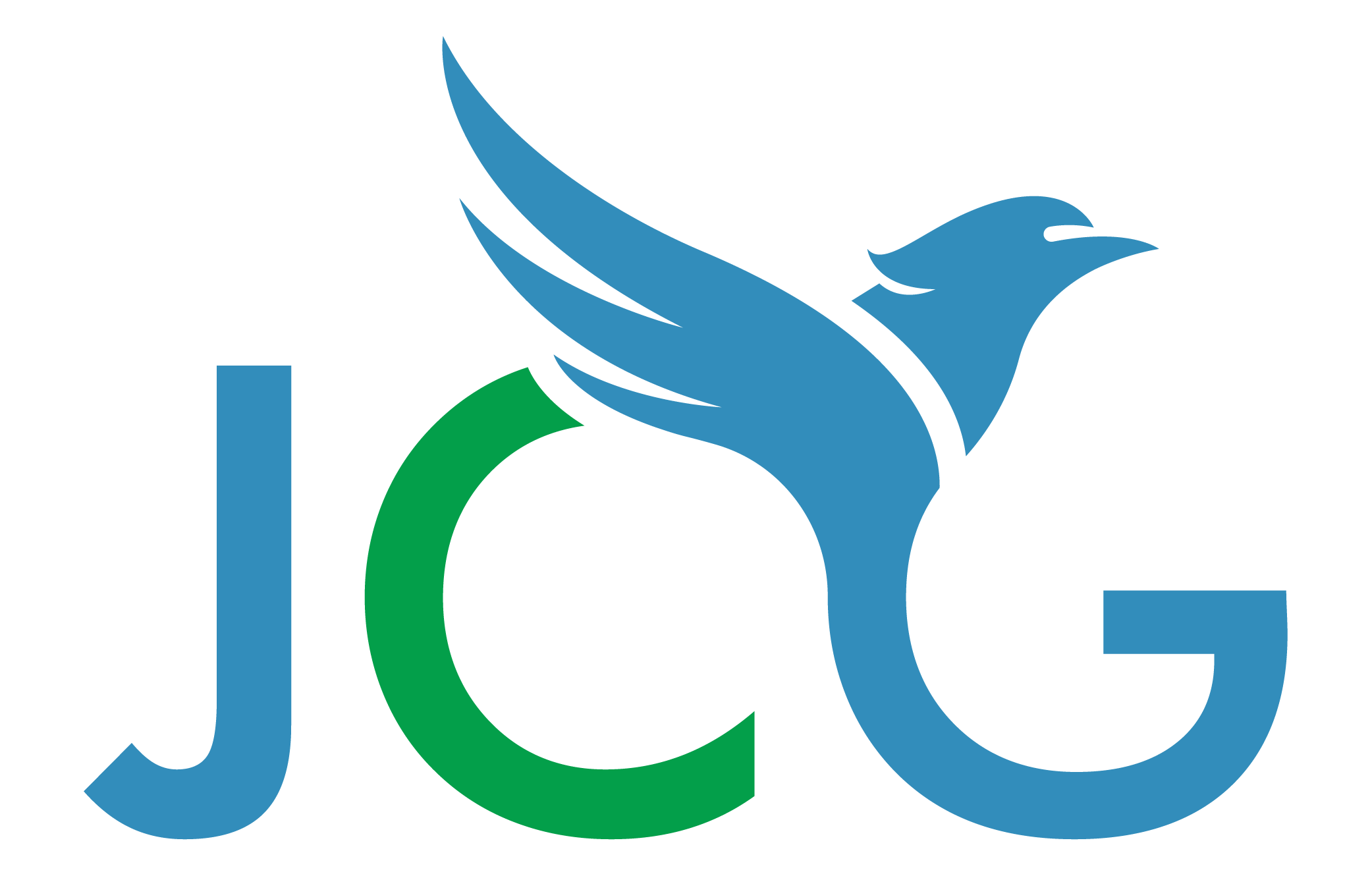 JCG CPA Firm/